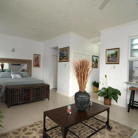Kingsway New Kingston Guest Apartment II Exteriér fotografie