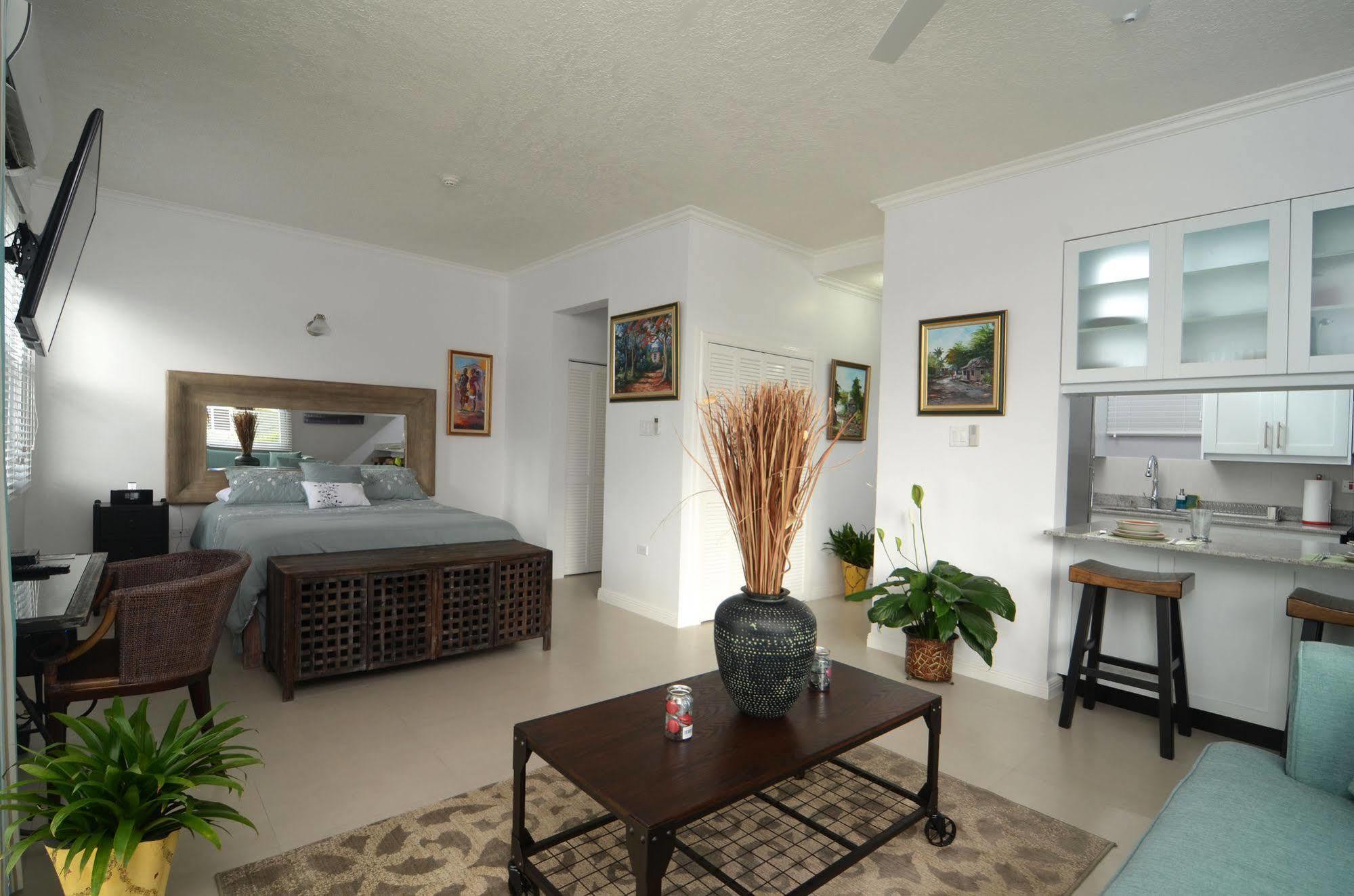 Kingsway New Kingston Guest Apartment II Exteriér fotografie
